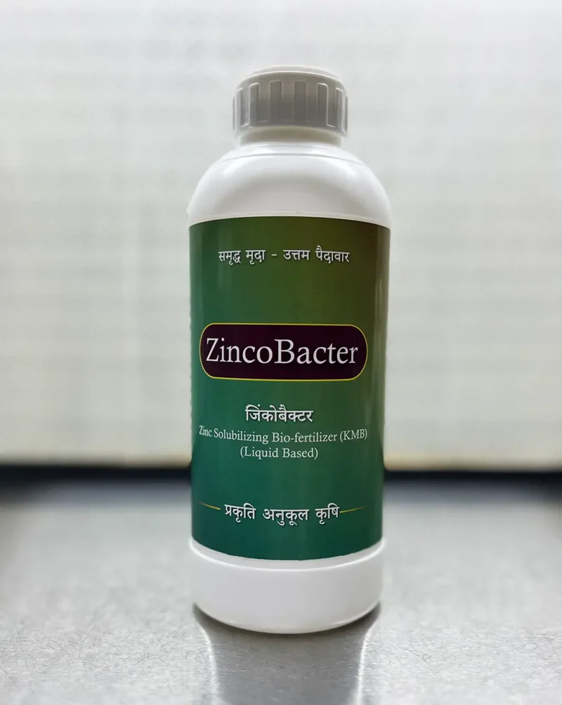 जिंको बैक्टर  (Zincobacter)