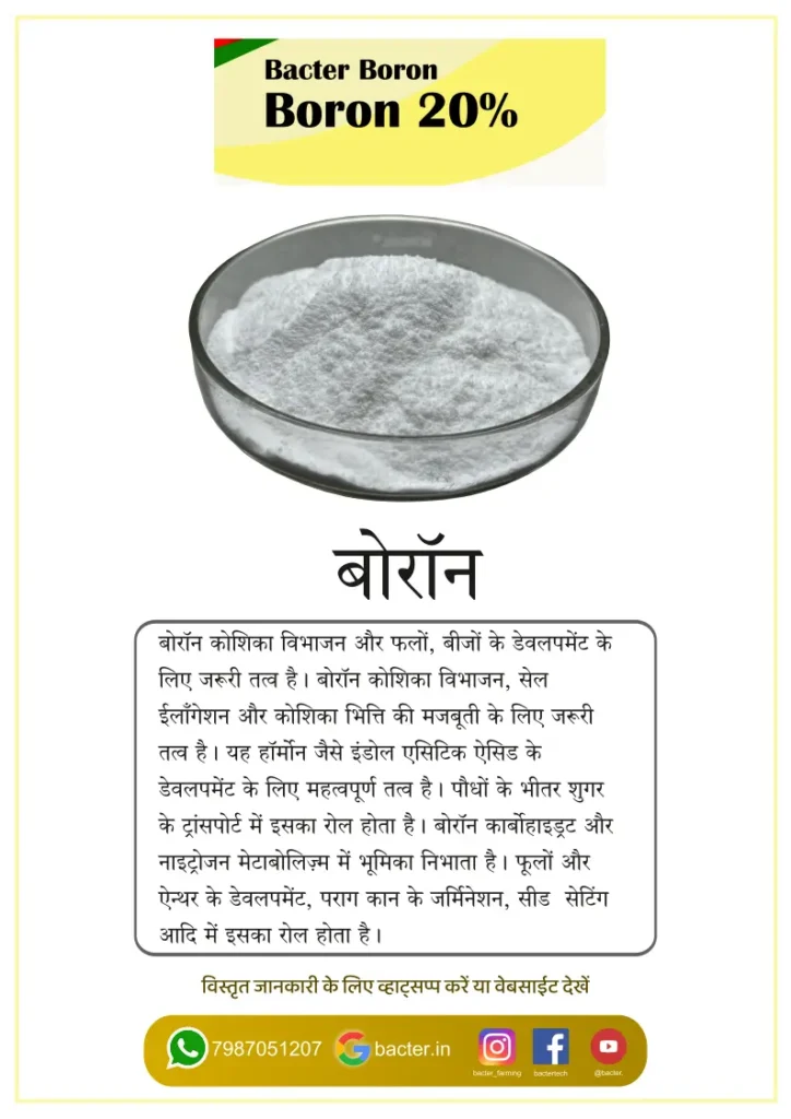 Bacter Boron