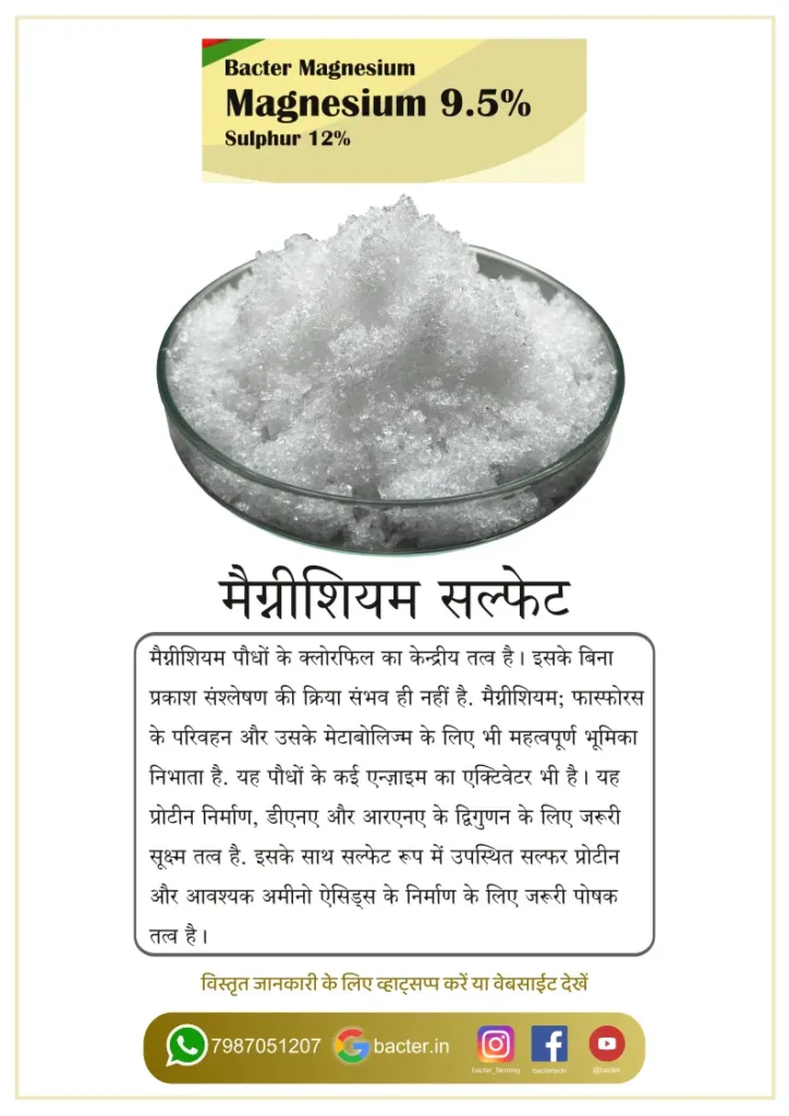 Bacter Magnesium