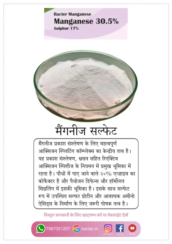Bacter Manganese